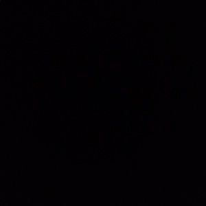 Meet your Posher, Dakota